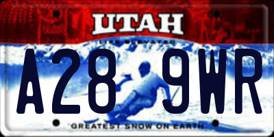 UT license plate A289WR