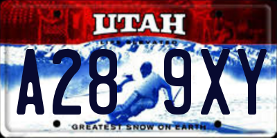 UT license plate A289XY