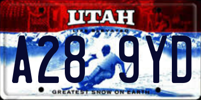 UT license plate A289YD