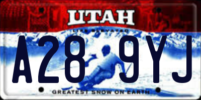 UT license plate A289YJ