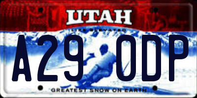 UT license plate A290DP