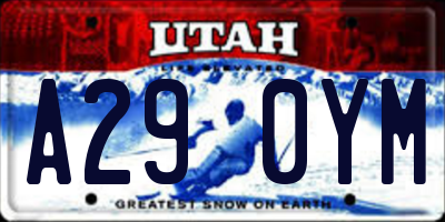 UT license plate A290YM