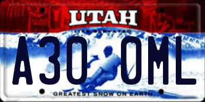 UT license plate A300ML