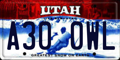 UT license plate A300WL
