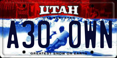 UT license plate A300WN