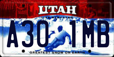 UT license plate A301MB