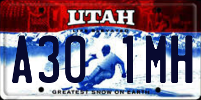 UT license plate A301MH