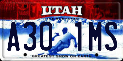 UT license plate A301MS