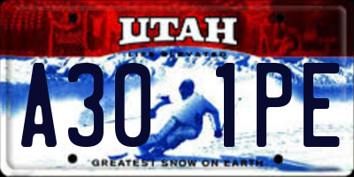 UT license plate A301PE