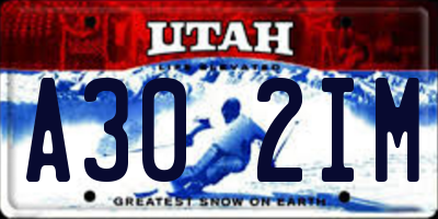 UT license plate A302IM