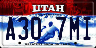 UT license plate A307MI