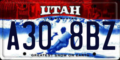 UT license plate A308BZ