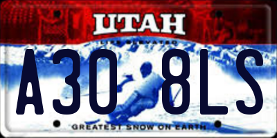 UT license plate A308LS