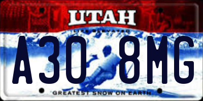 UT license plate A308MG