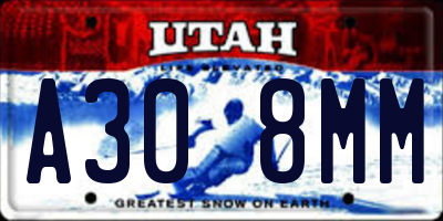 UT license plate A308MM