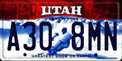 UT license plate A308MN