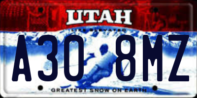 UT license plate A308MZ