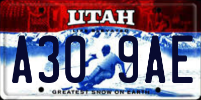 UT license plate A309AE