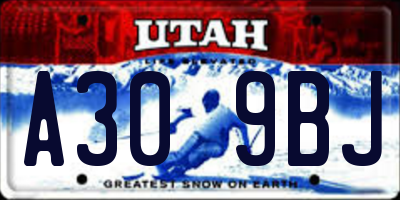 UT license plate A309BJ