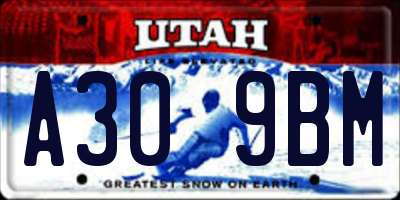 UT license plate A309BM