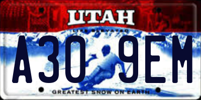 UT license plate A309EM