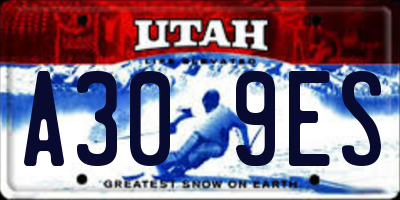 UT license plate A309ES