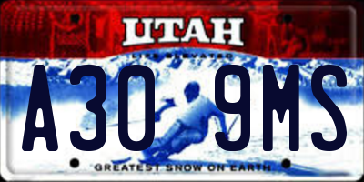 UT license plate A309MS