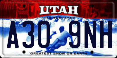 UT license plate A309NH