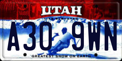 UT license plate A309WN