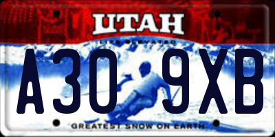 UT license plate A309XB