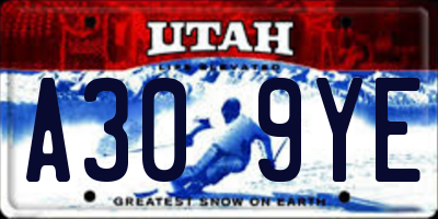 UT license plate A309YE