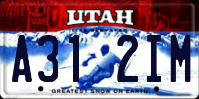 UT license plate A312IM