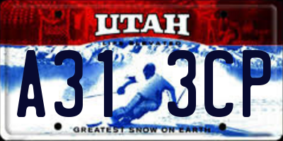 UT license plate A313CP