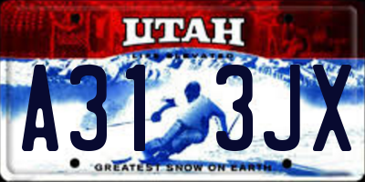 UT license plate A313JX