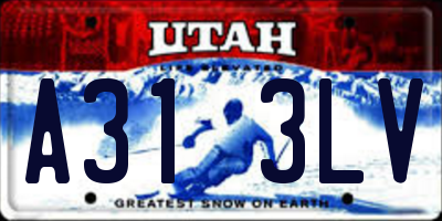 UT license plate A313LV