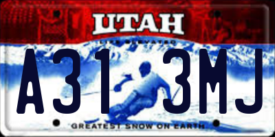 UT license plate A313MJ