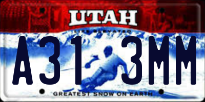 UT license plate A313MM