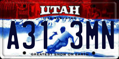 UT license plate A313MN