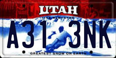 UT license plate A313NK