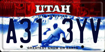 UT license plate A313YV