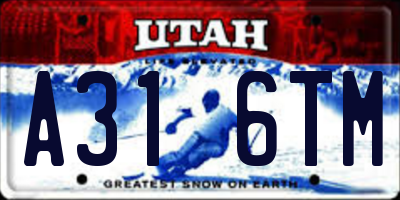 UT license plate A316TM