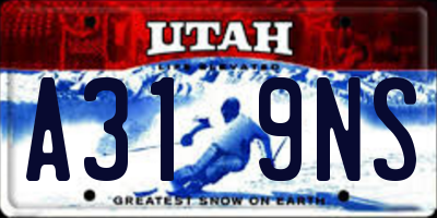 UT license plate A319NS