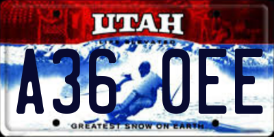 UT license plate A360EE