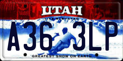 UT license plate A363LP