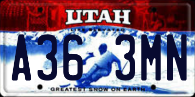 UT license plate A363MN