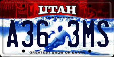 UT license plate A363MS