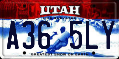 UT license plate A365LY