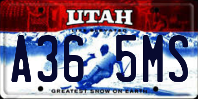 UT license plate A365MS