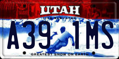 UT license plate A391MS