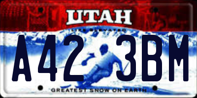 UT license plate A423BM